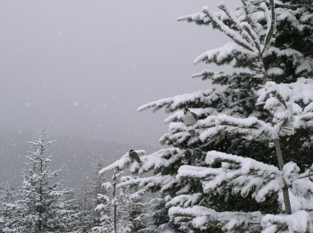 Ghost Ridge-Twin Lakes 013 